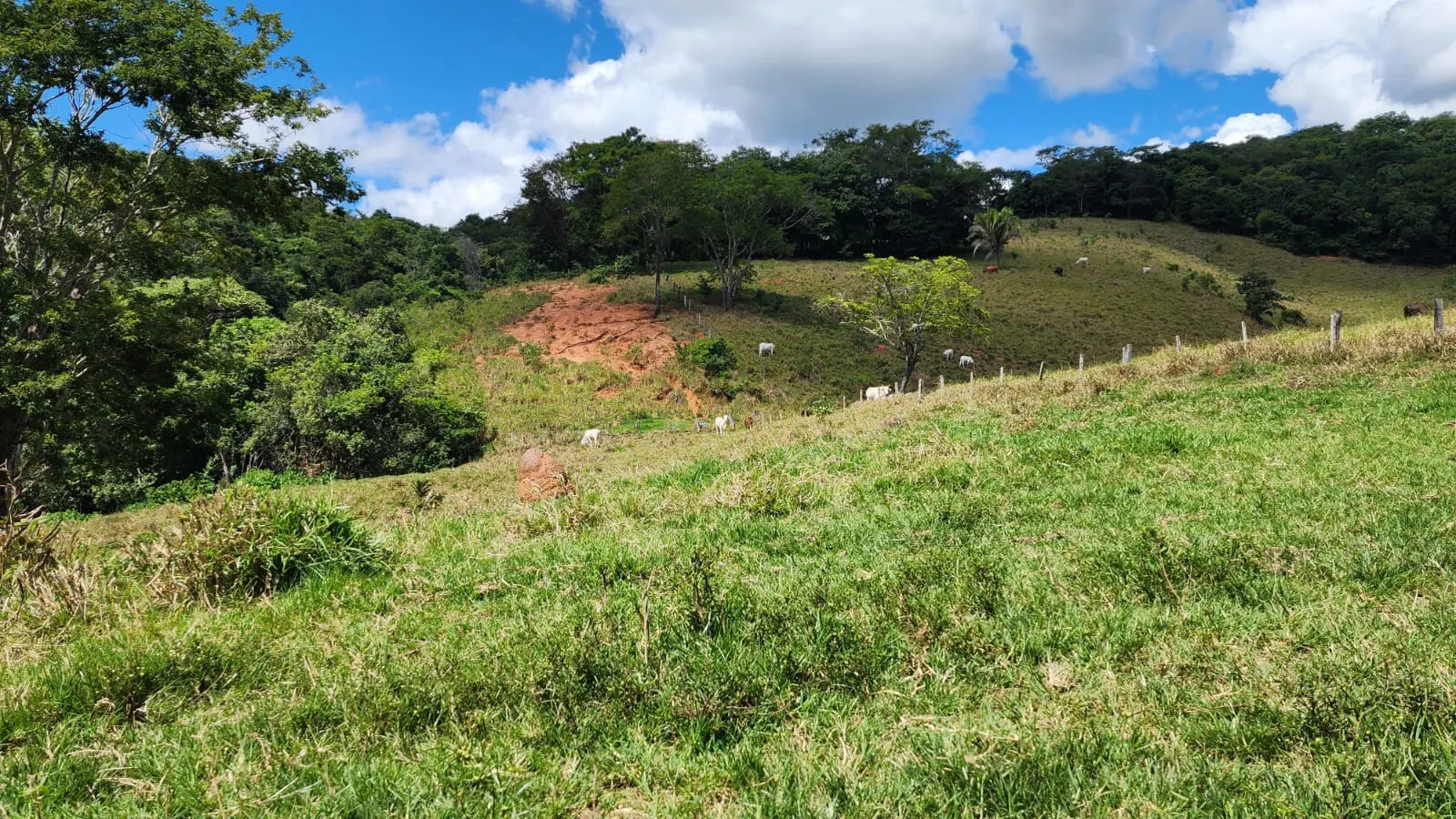Sítio à venda de 39 ha em Cocalzinho de Goiás, GO, Brasil