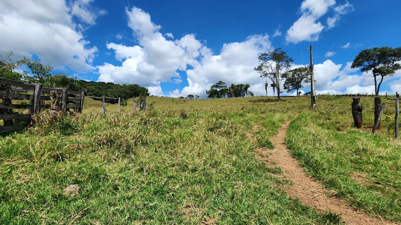 Sítio à venda de 39 ha em Cocalzinho de Goiás, GO, Brasil