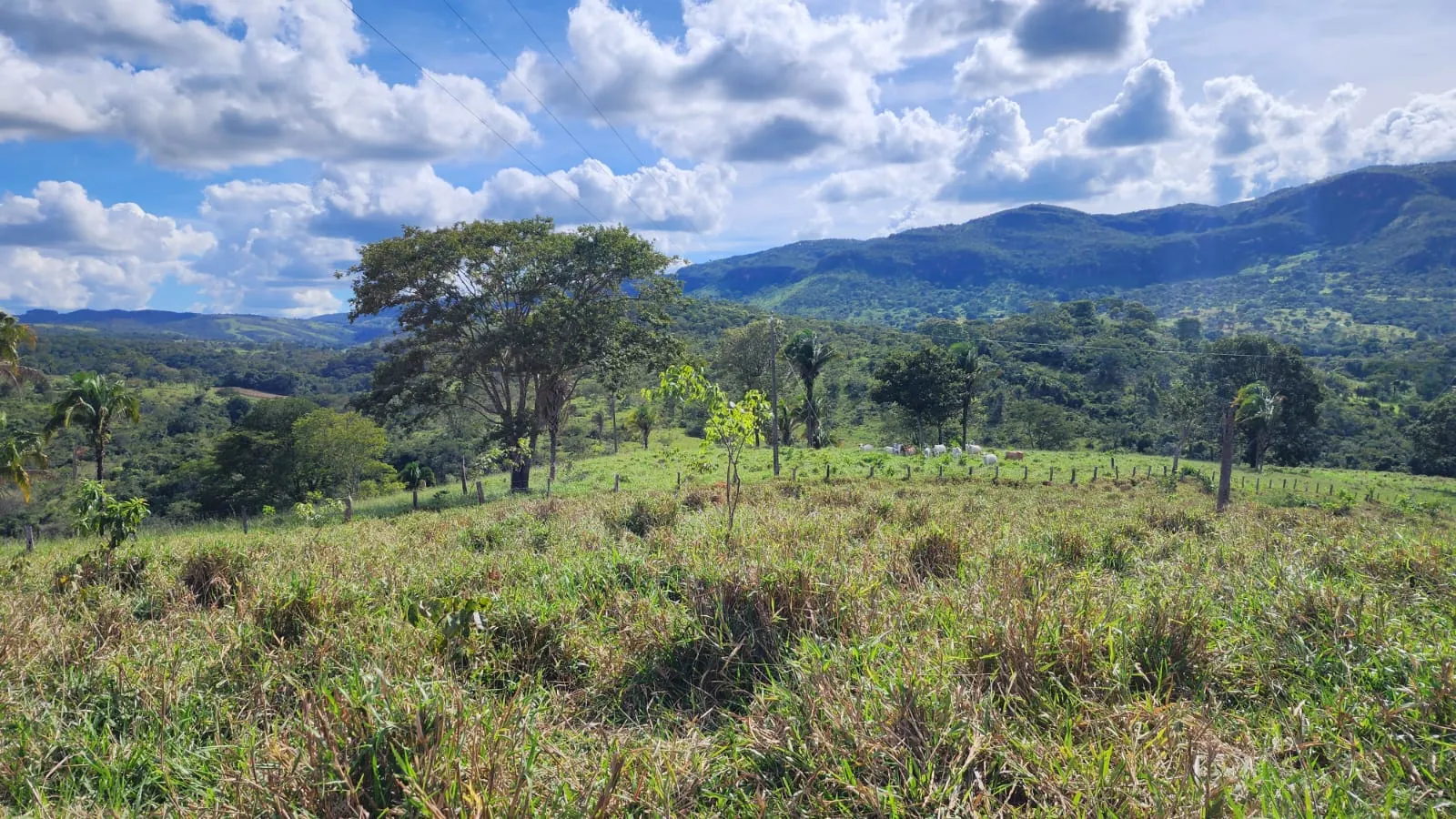 Sítio à venda de 39 ha em Cocalzinho de Goiás, GO, Brasil