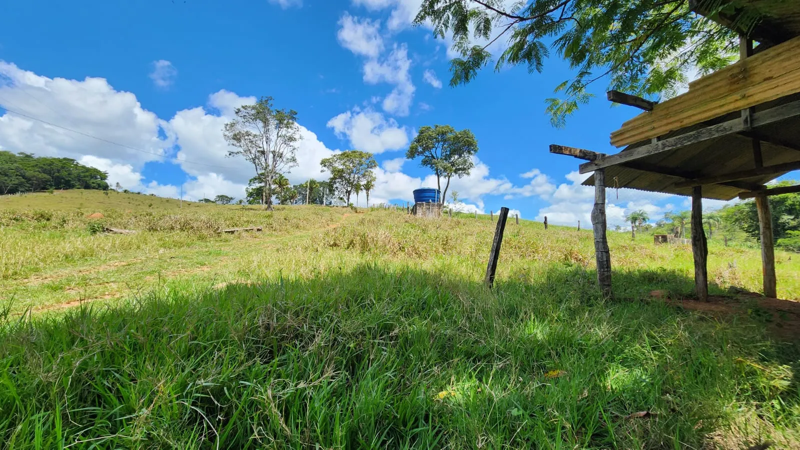 Sítio à venda de 39 ha em Cocalzinho de Goiás, GO, Brasil
