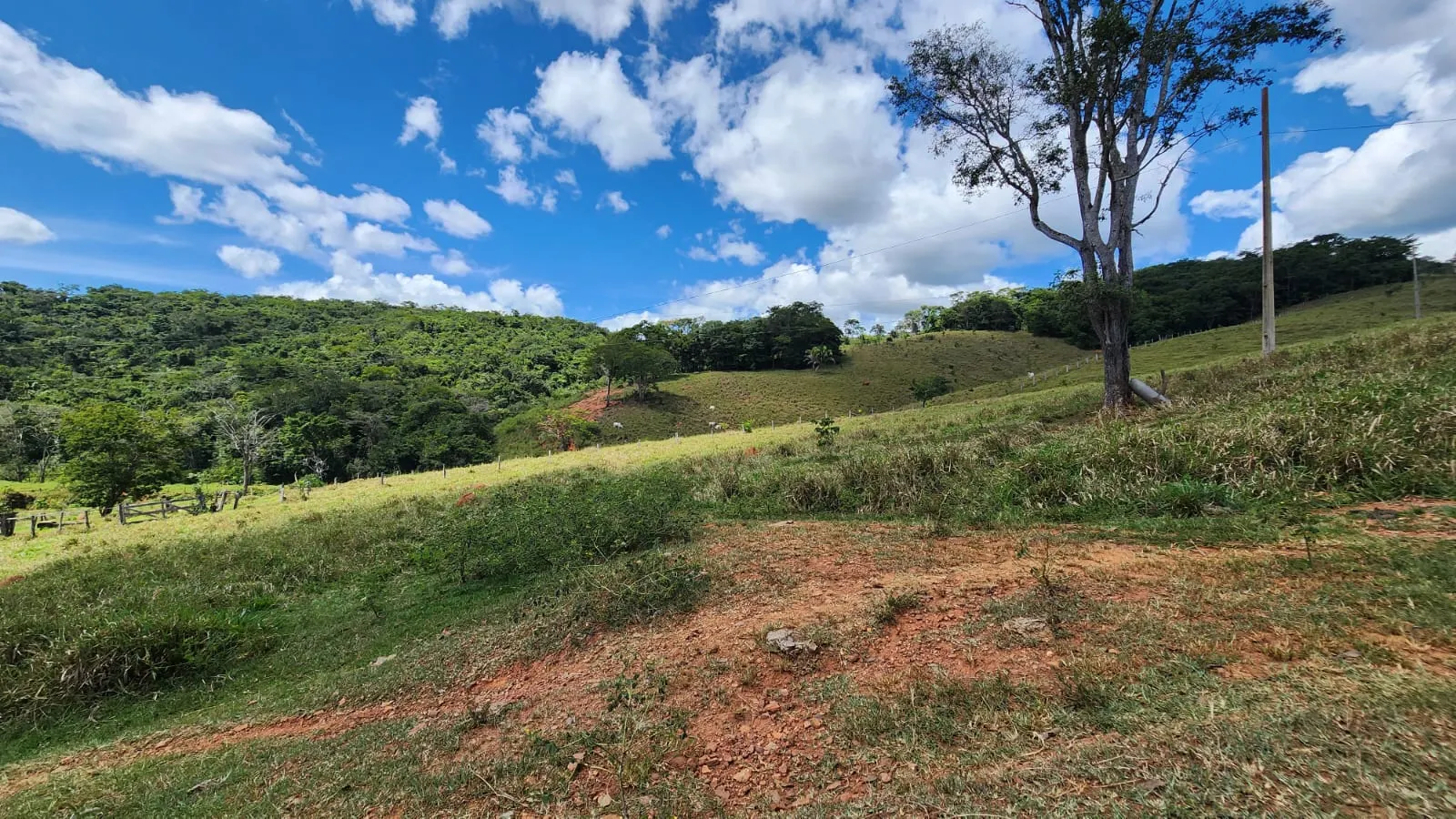 Sítio à venda de 39 ha em Cocalzinho de Goiás, GO, Brasil