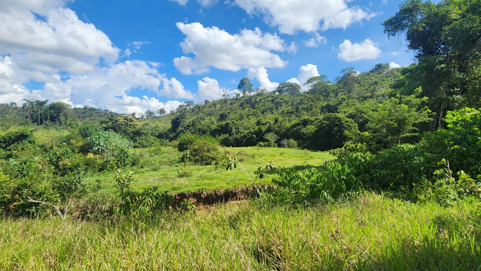 Sítio à venda de 39 ha em Cocalzinho de Goiás, GO, Brasil