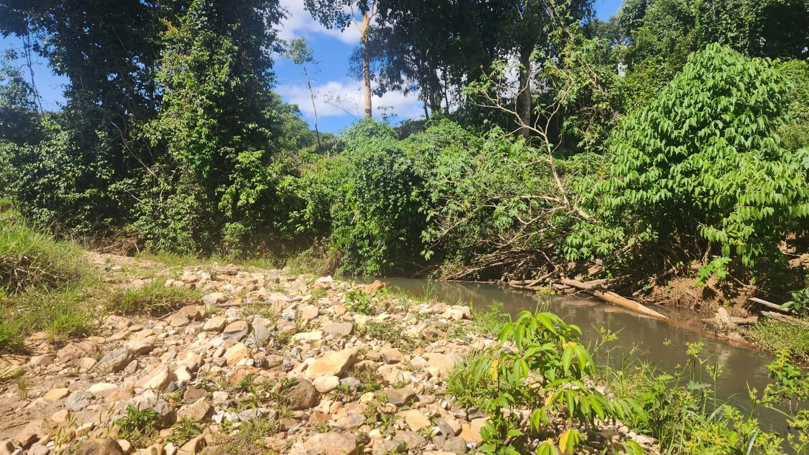 Sítio à venda de 39 ha em Cocalzinho de Goiás, GO, Brasil