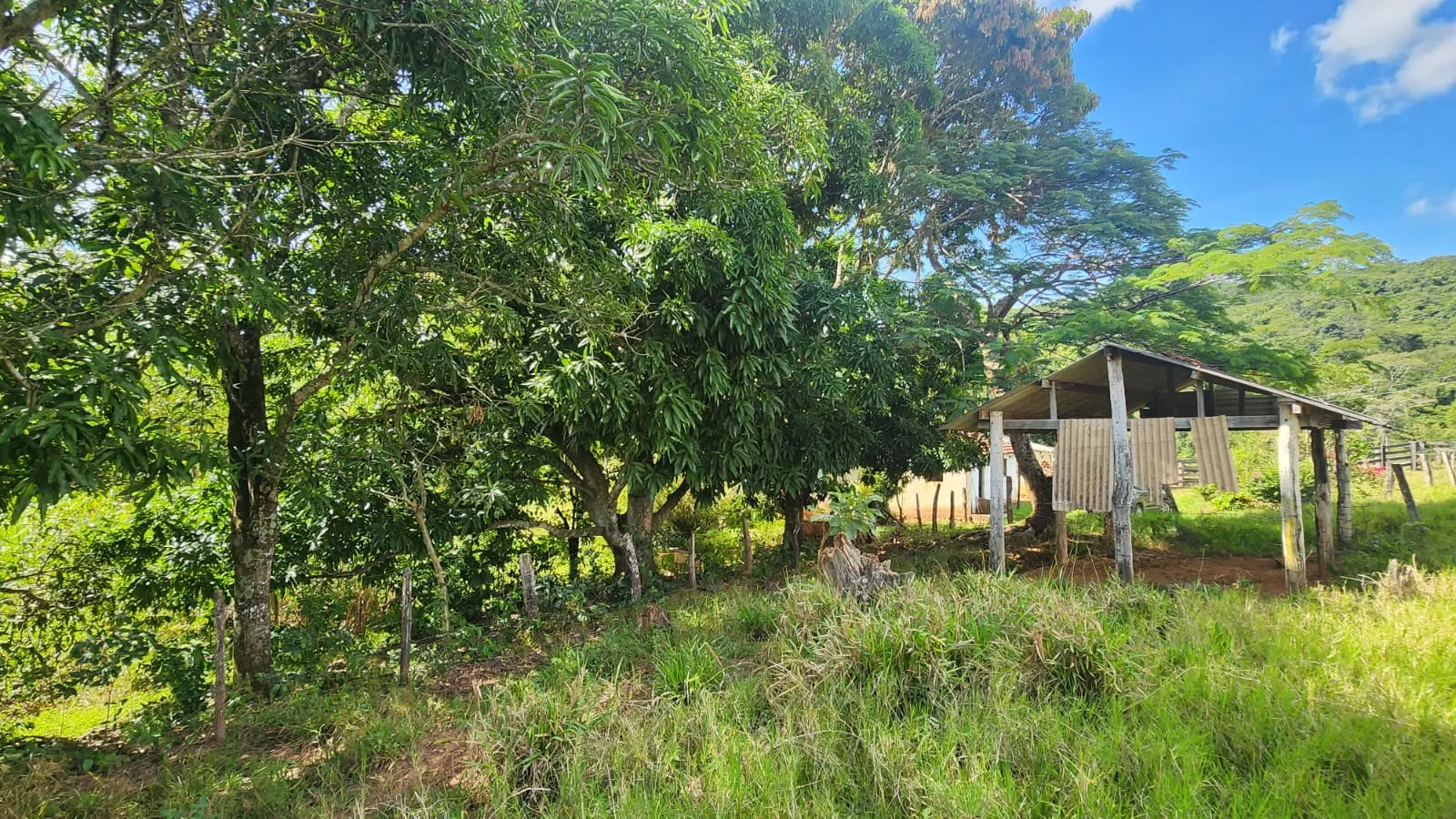 Sítio à venda de 39 ha em Cocalzinho de Goiás, GO, Brasil