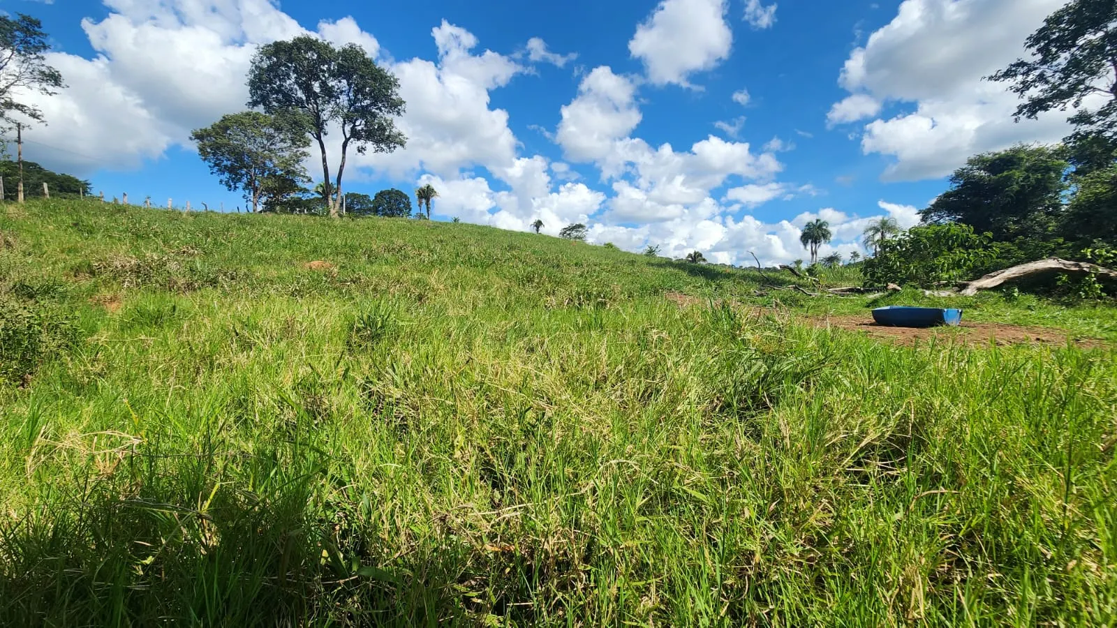 Sítio à venda de 39 ha em Cocalzinho de Goiás, GO, Brasil