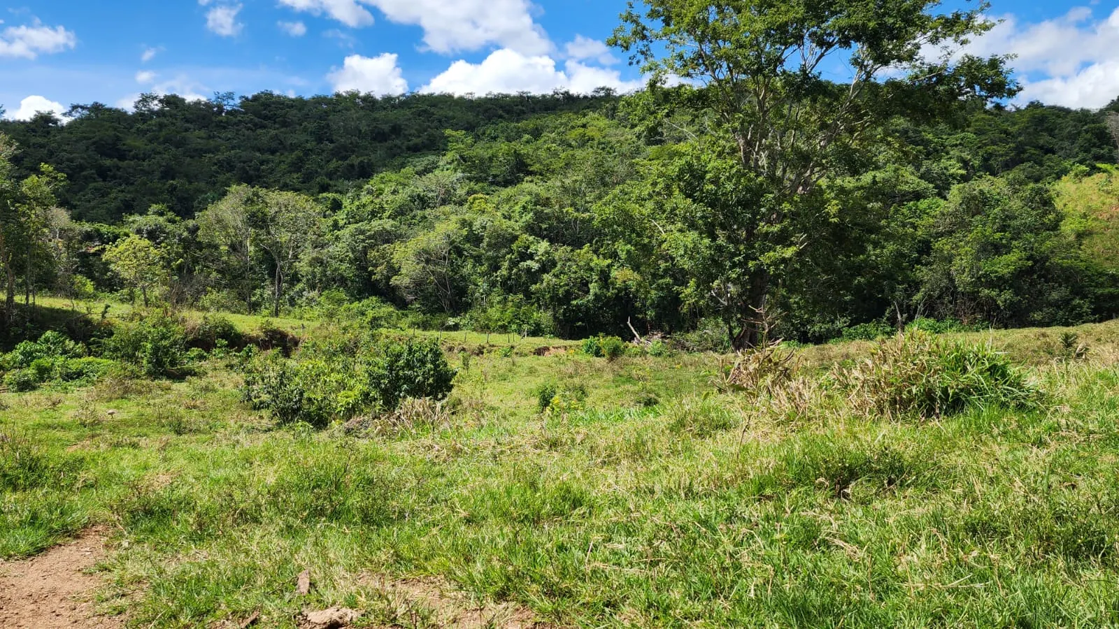 Sítio à venda de 39 ha em Cocalzinho de Goiás, GO, Brasil