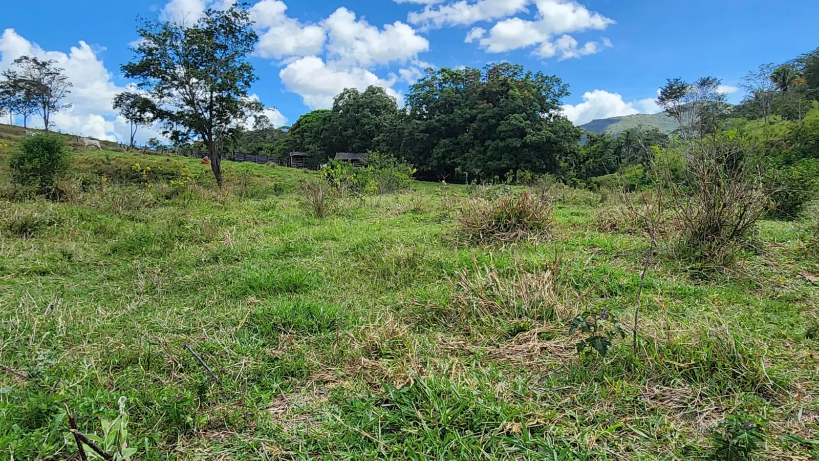 Sítio à venda de 39 ha em Cocalzinho de Goiás, GO, Brasil