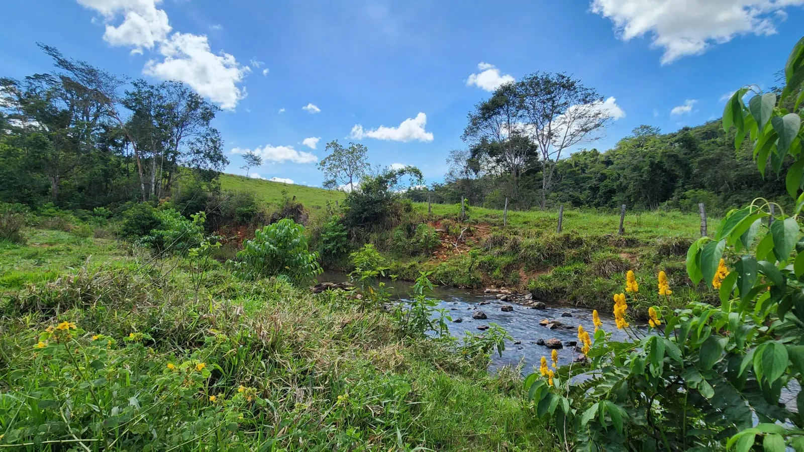 Sítio à venda de 39 ha em Cocalzinho de Goiás, GO, Brasil
