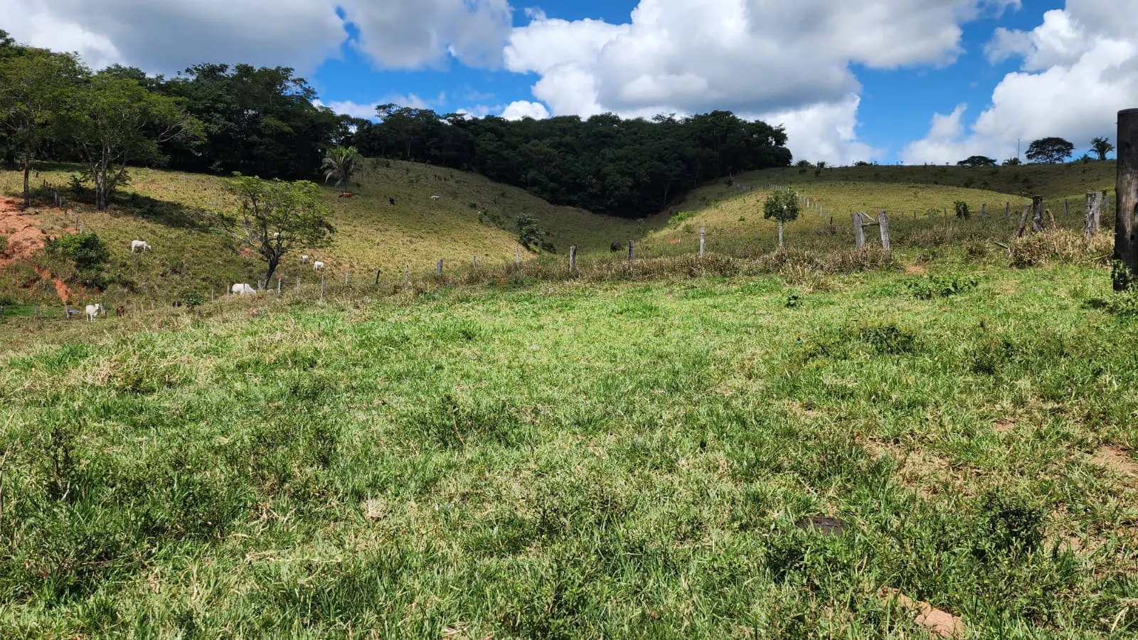 Sítio à venda de 39 ha em Cocalzinho de Goiás, GO, Brasil
