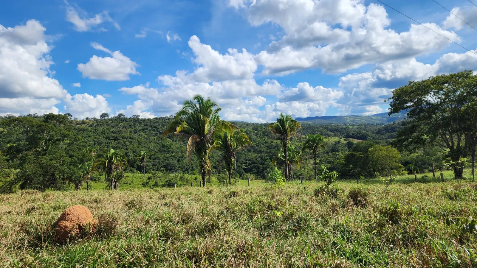 Sítio à venda de 39 ha em Cocalzinho de Goiás, GO, Brasil