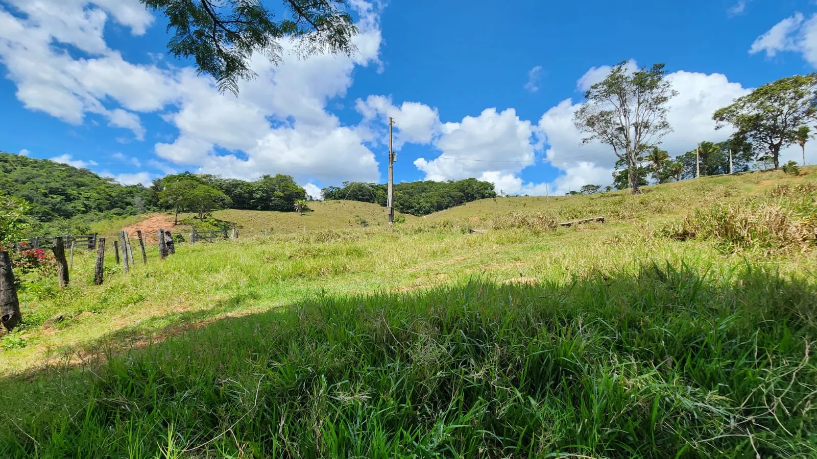 Sítio à venda de 39 ha em Cocalzinho de Goiás, GO, Brasil