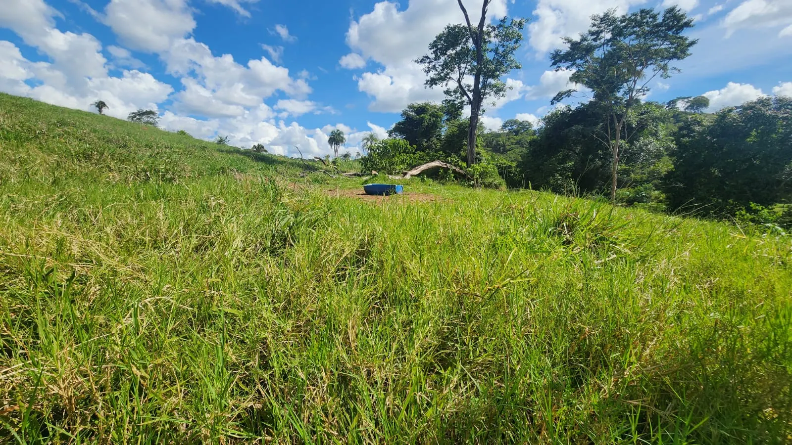 Sítio à venda de 39 ha em Cocalzinho de Goiás, GO, Brasil