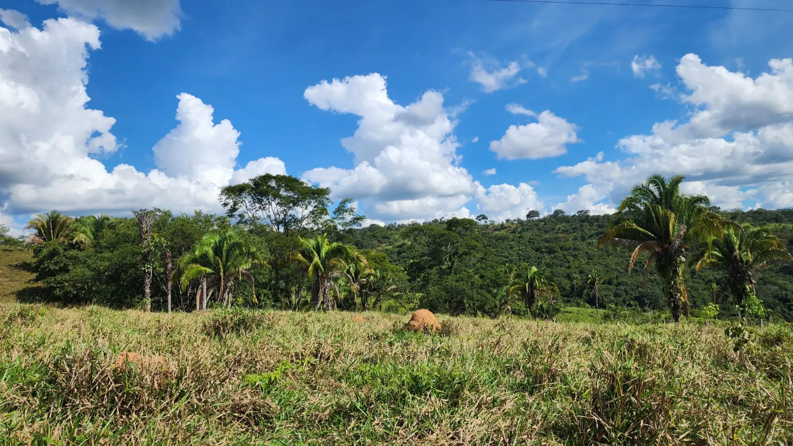 Sítio à venda de 39 ha em Cocalzinho de Goiás, GO, Brasil