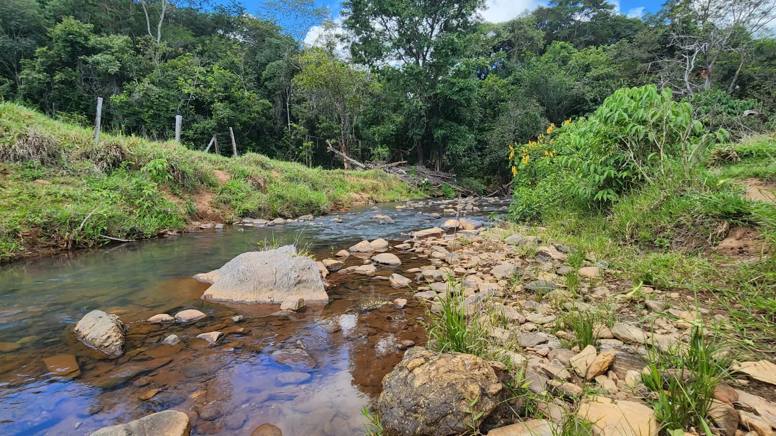 Sítio à venda de 39 ha em Cocalzinho de Goiás, GO, Brasil