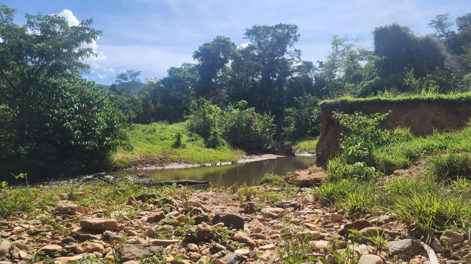 Sítio à venda de 39 ha em Cocalzinho de Goiás, GO, Brasil
