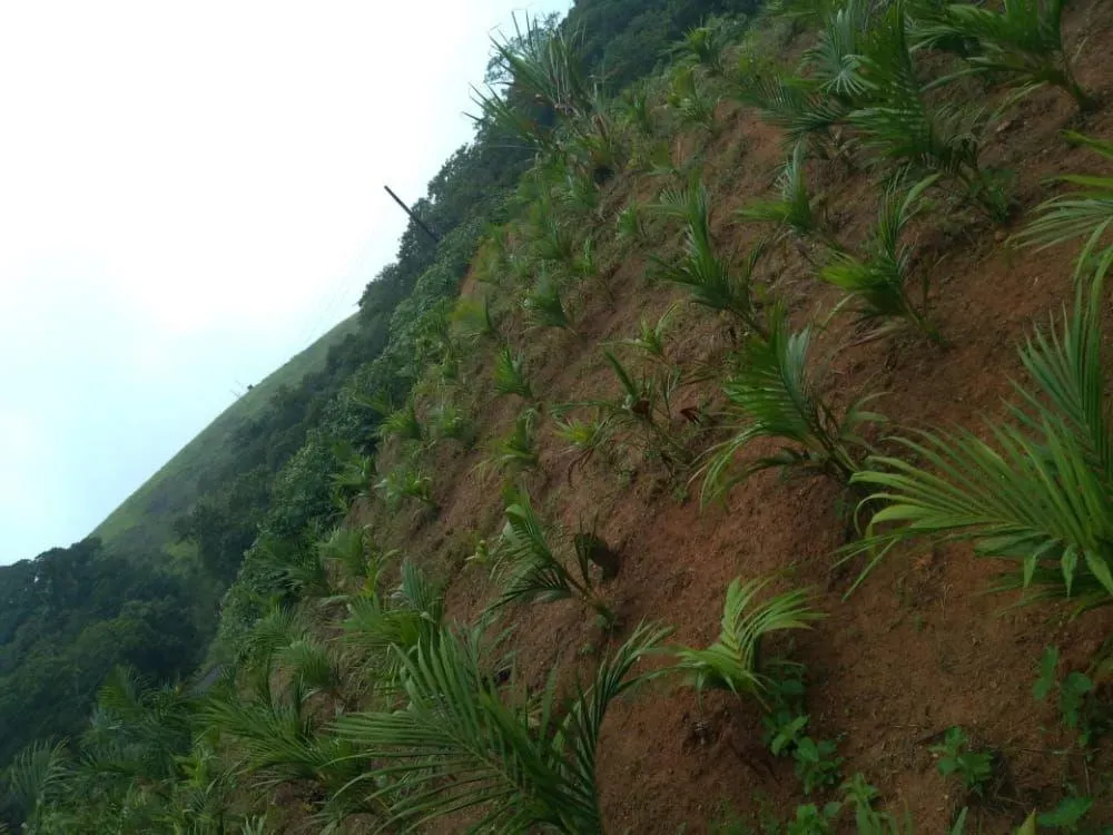 Farm for sale of 317 acres in Juquiá, SP, Brazil