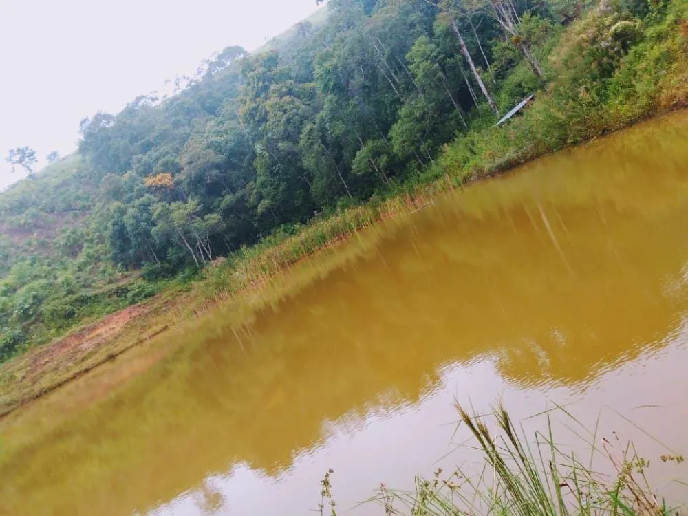Farm for sale of 317 acres in Juquiá, SP, Brazil