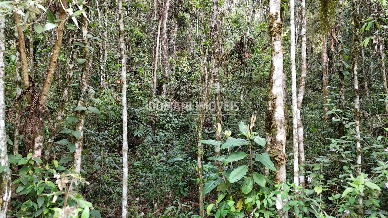 Plot for sale of 1,030 m² in Campos do Jordão, SP, Brazil