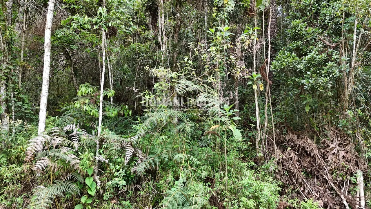 Plot for sale of 1,030 m² in Campos do Jordão, SP, Brazil