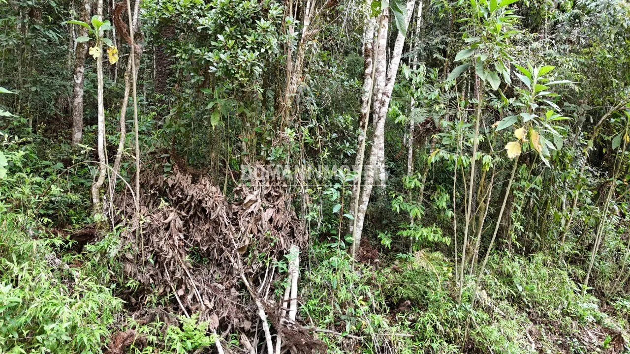 Plot for sale of 1,030 m² in Campos do Jordão, SP, Brazil
