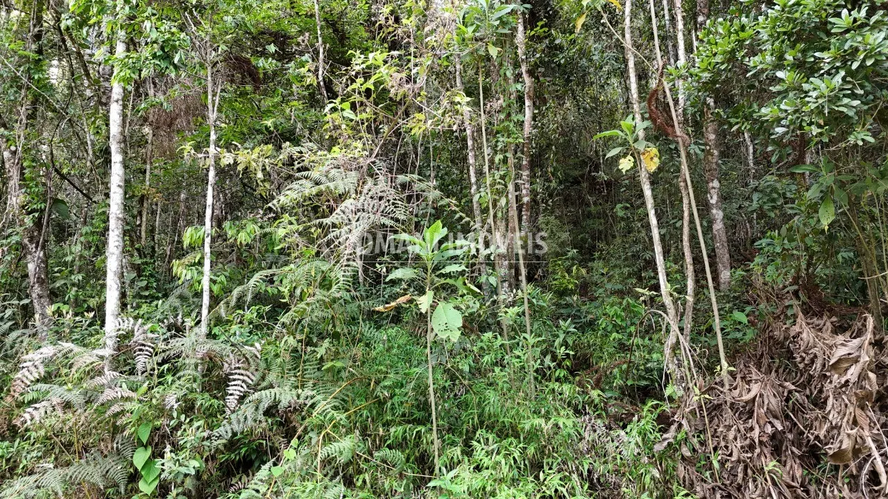 Plot for sale of 1,030 m² in Campos do Jordão, SP, Brazil
