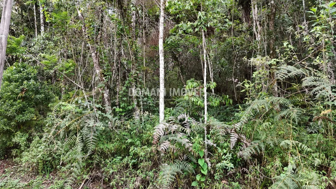 Plot for sale of 1,030 m² in Campos do Jordão, SP, Brazil