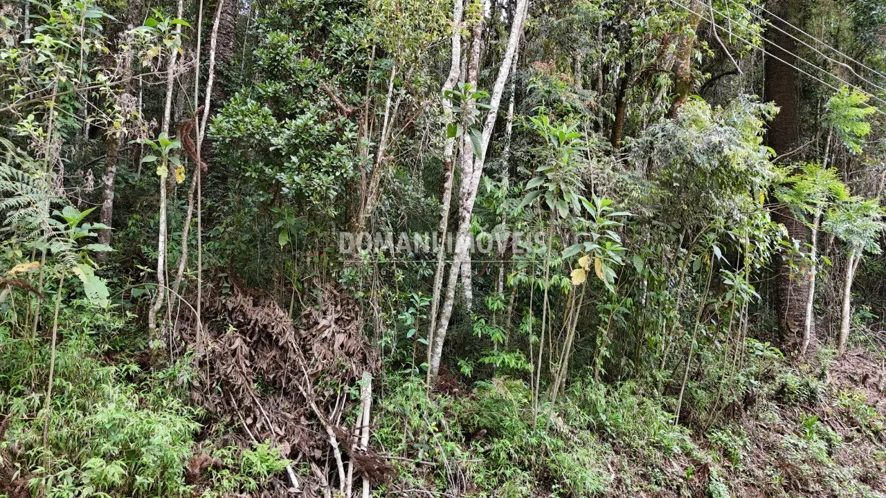 Plot for sale of 1,030 m² in Campos do Jordão, SP, Brazil