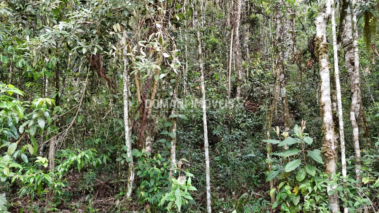 Plot for sale of 1,030 m² in Campos do Jordão, SP, Brazil