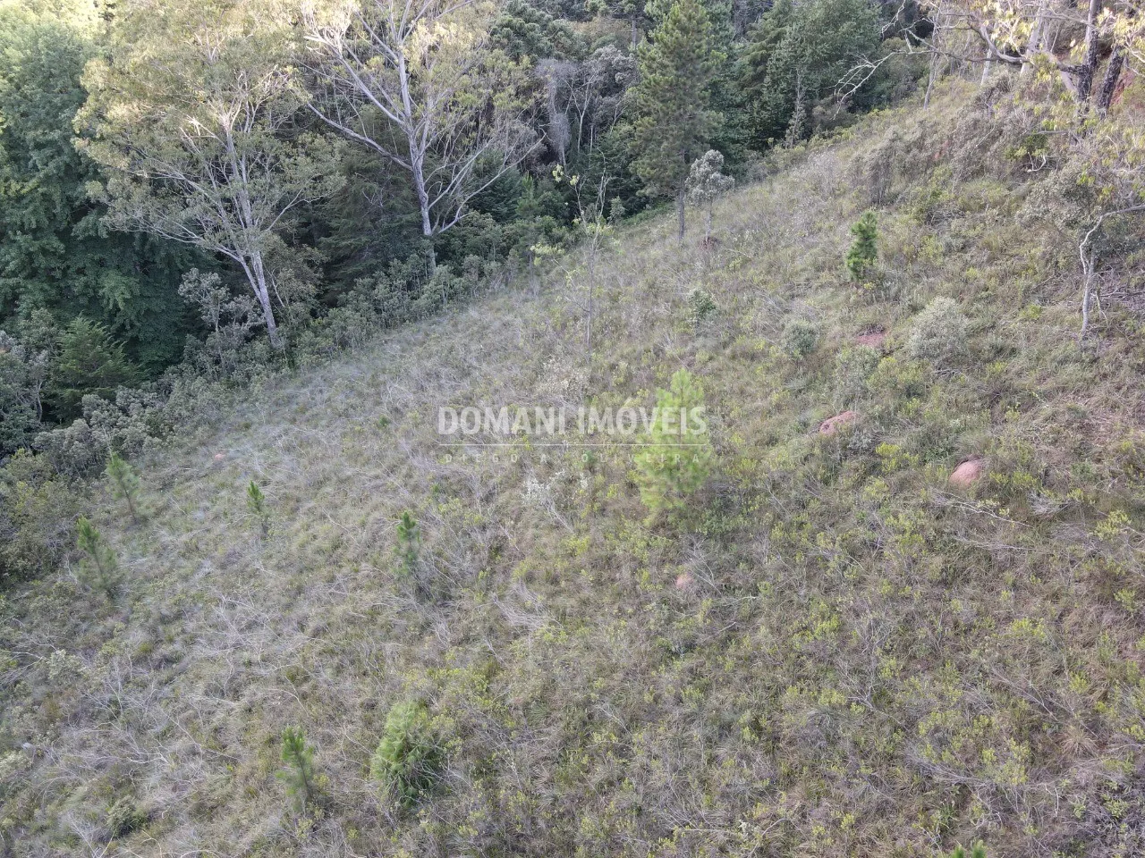 Plot for sale of 3,590 m² in Campos do Jordão, SP, Brazil