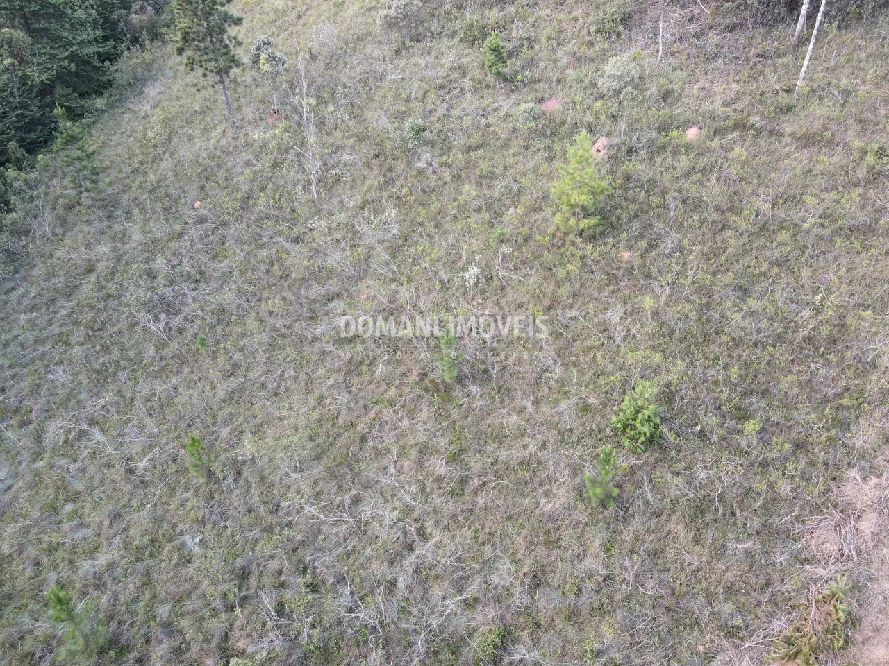 Plot for sale of 3,590 m² in Campos do Jordão, SP, Brazil