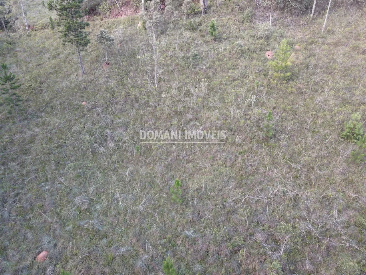 Plot for sale of 3,590 m² in Campos do Jordão, SP, Brazil