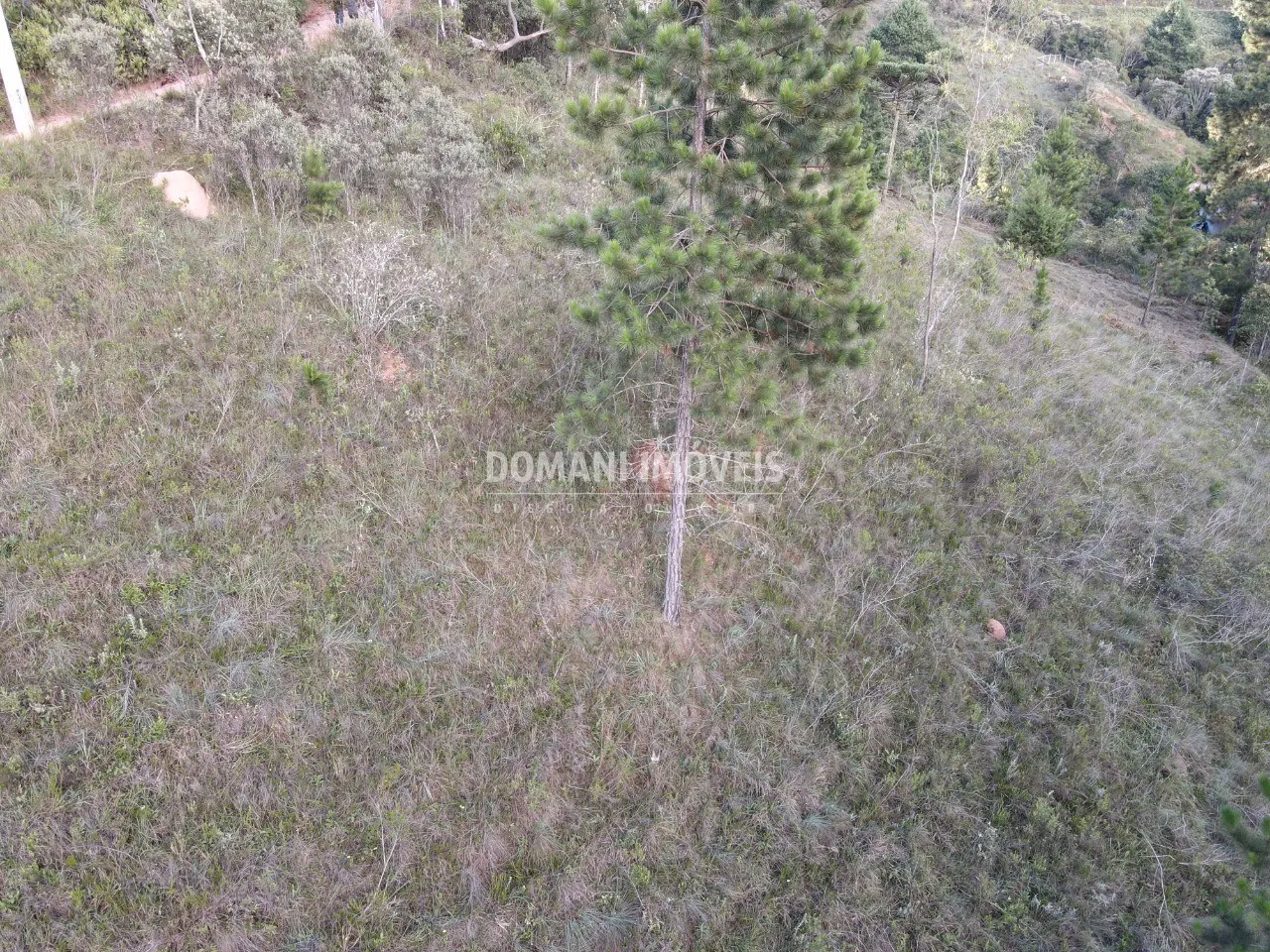 Plot for sale of 3,590 m² in Campos do Jordão, SP, Brazil