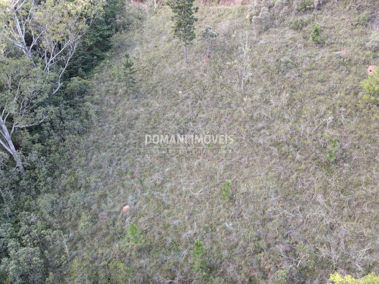 Plot for sale of 3,590 m² in Campos do Jordão, SP, Brazil