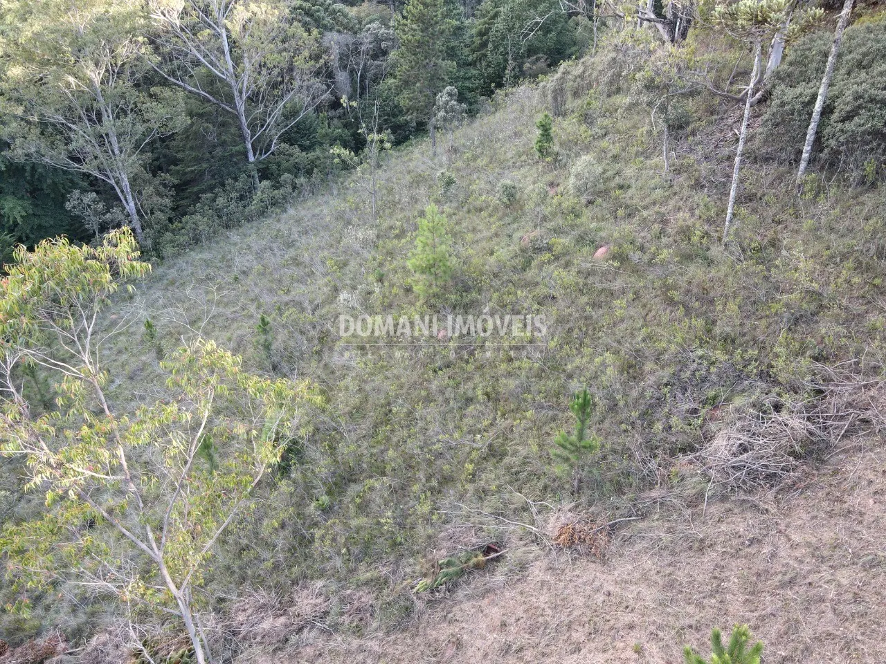 Plot for sale of 3,590 m² in Campos do Jordão, SP, Brazil