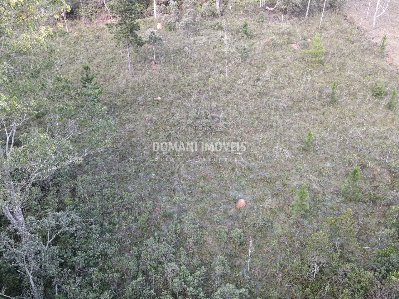 Plot for sale of 3,590 m² in Campos do Jordão, SP, Brazil