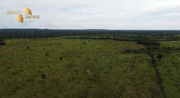Farm for sale of 803 acres in Campinápolis, MT, Brazil
