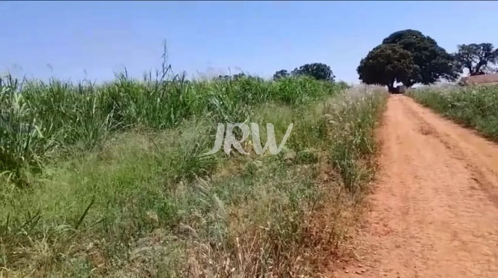 Sítio à venda de 10 ha em Monte Mor, SP, Brasil