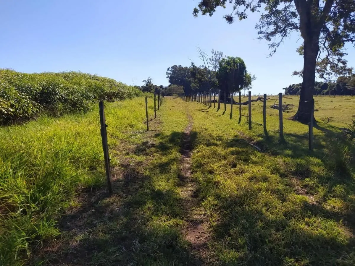Small farm for sale of 8 acres in Cajuru, SP, Brazil