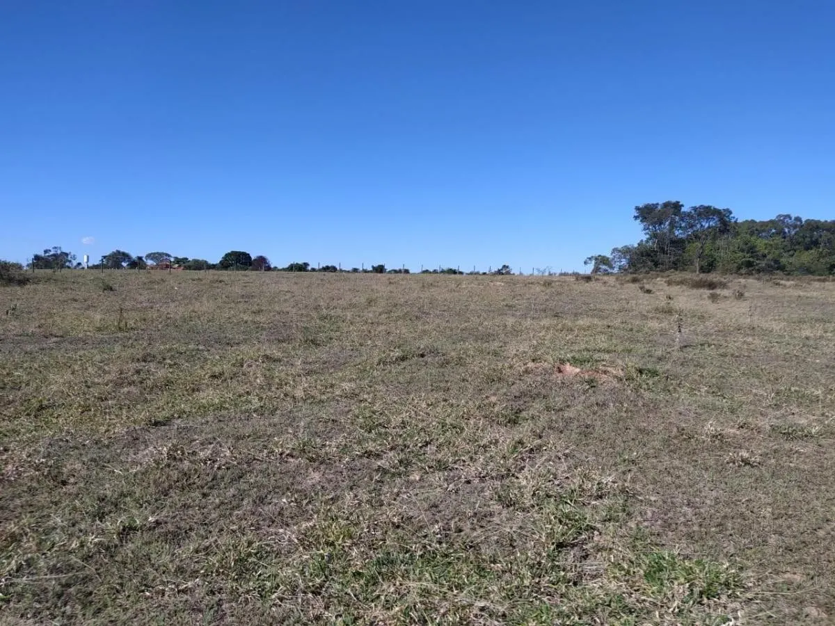Small farm for sale of 8 acres in Cajuru, SP, Brazil