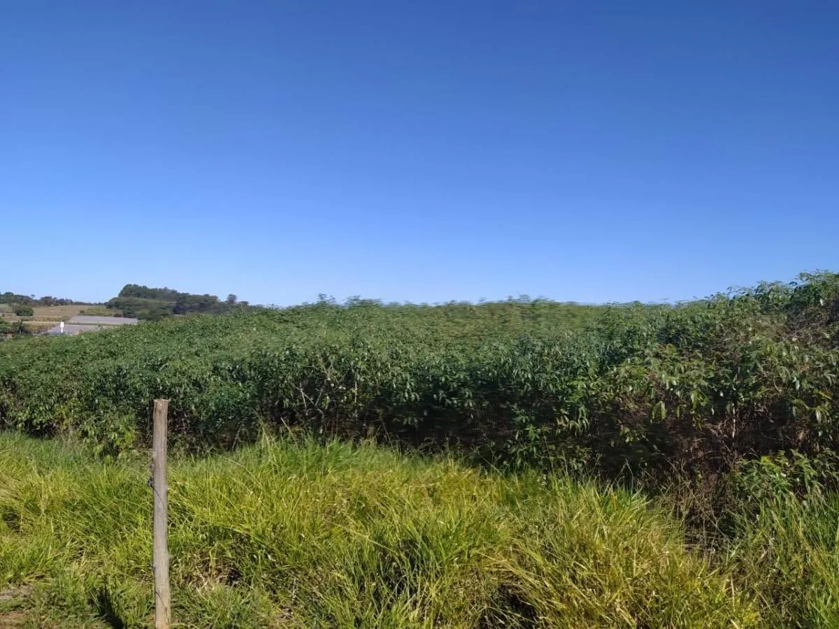 Small farm for sale of 8 acres in Cajuru, SP, Brazil