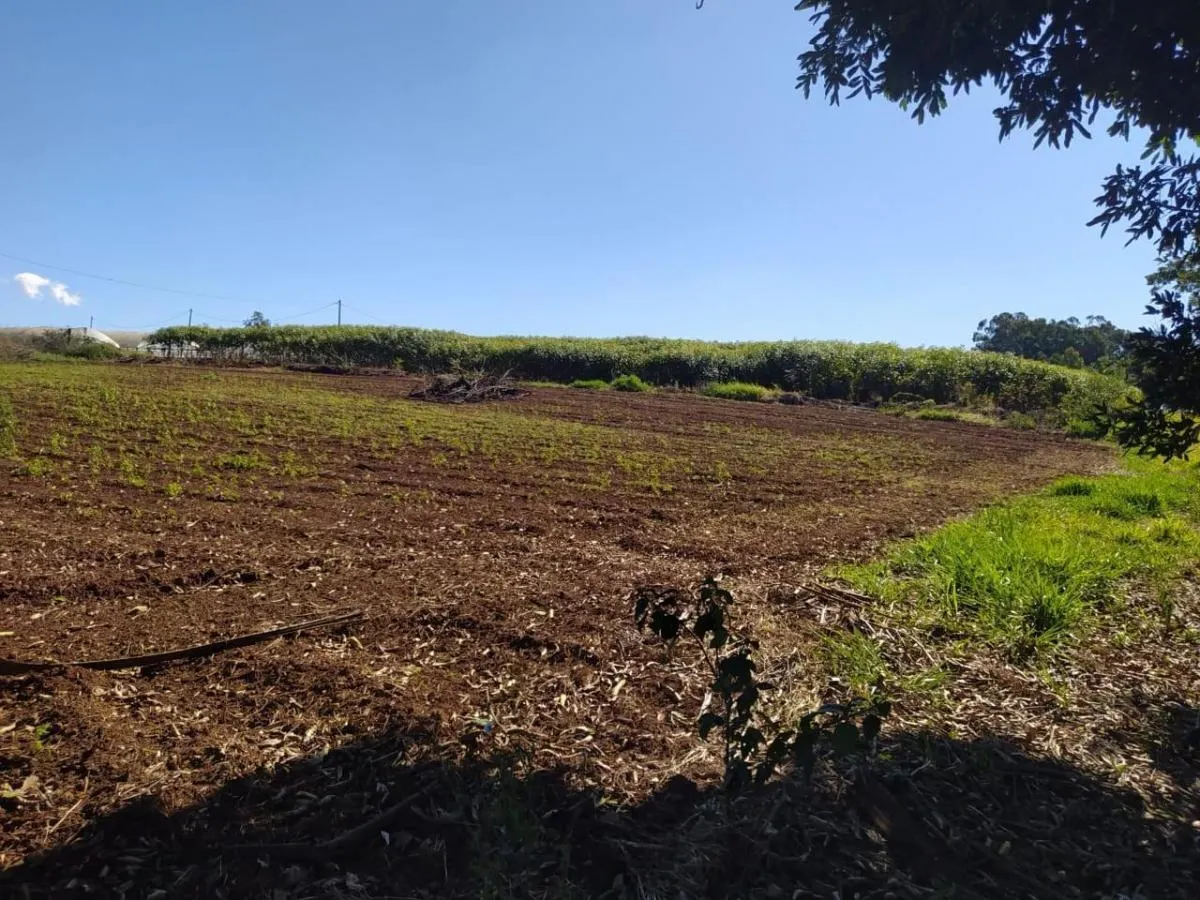 Small farm for sale of 8 acres in Cajuru, SP, Brazil