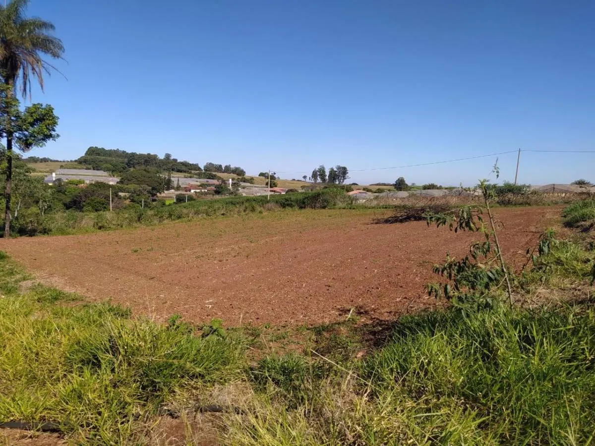 Sítio à venda de 3 ha em Cajuru, SP, Brasil