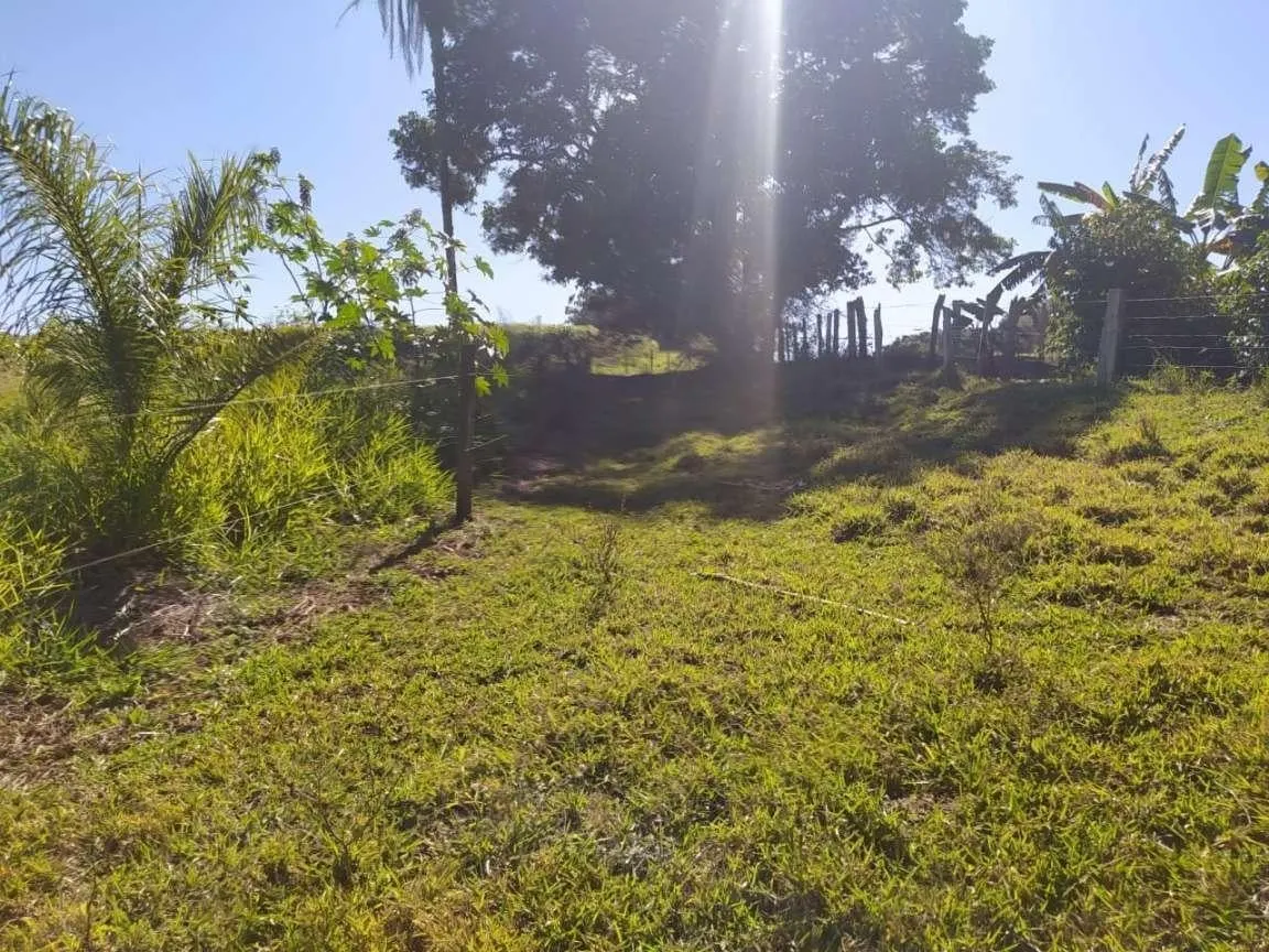 Small farm for sale of 8 acres in Cajuru, SP, Brazil