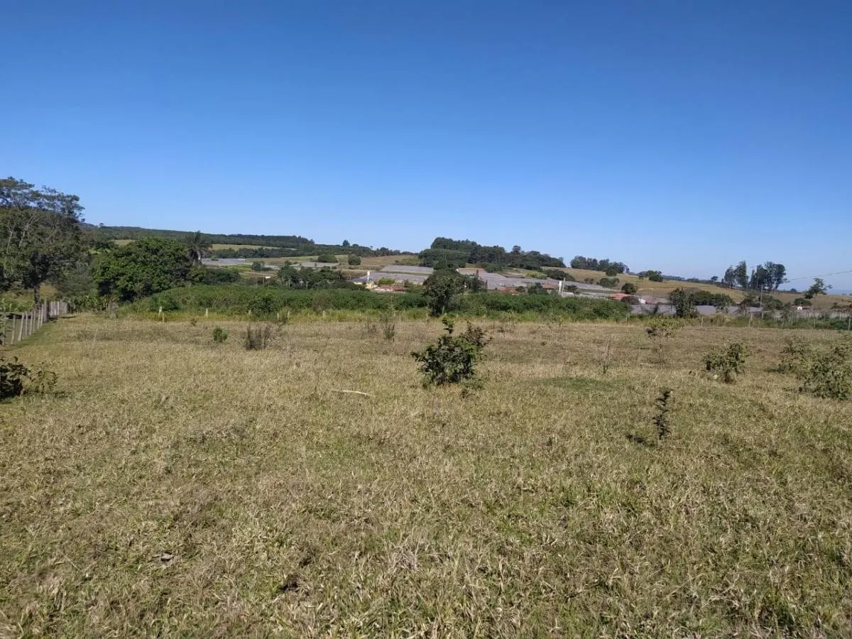Small farm for sale of 8 acres in Cajuru, SP, Brazil