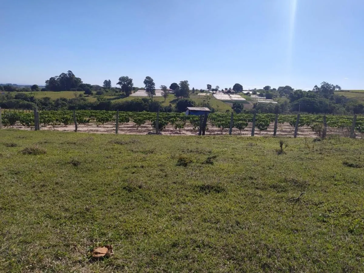 Small farm for sale of 8 acres in Cajuru, SP, Brazil
