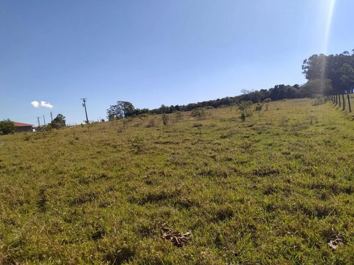 Small farm for sale of 8 acres in Cajuru, SP, Brazil
