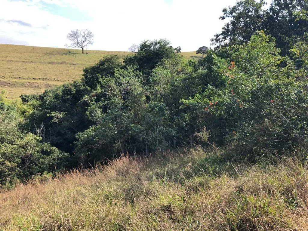 Plot for sale of 2,187 m² in Pouso Alegre, MG, Brazil