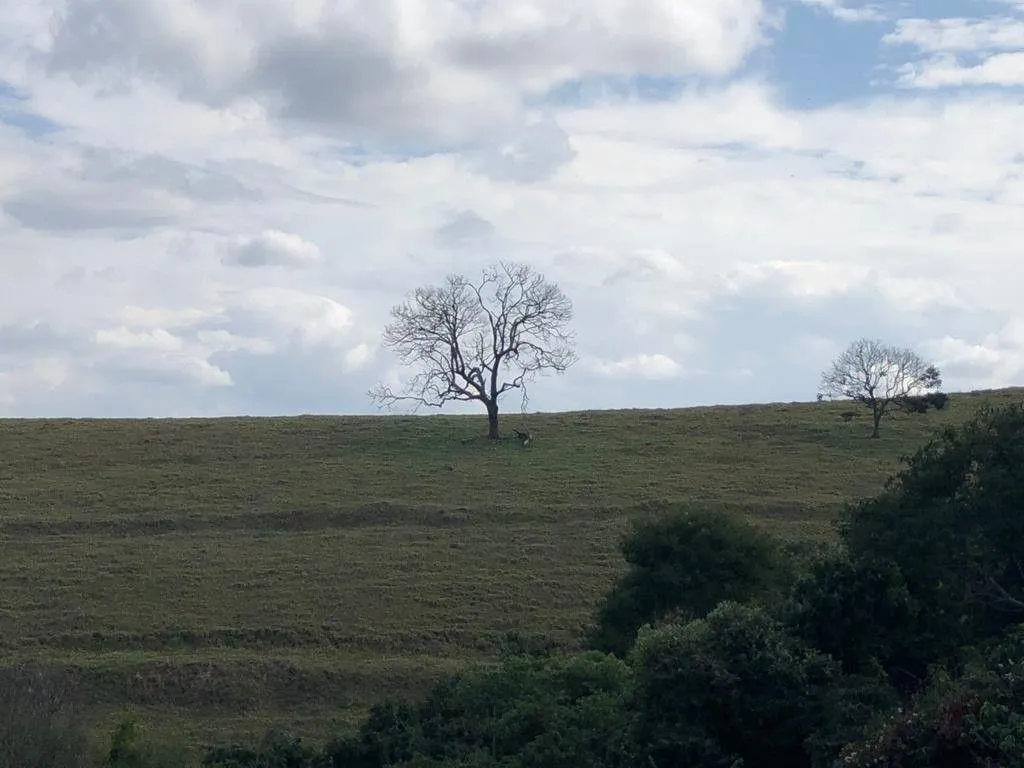 Plot for sale of 2,187 m² in Pouso Alegre, MG, Brazil