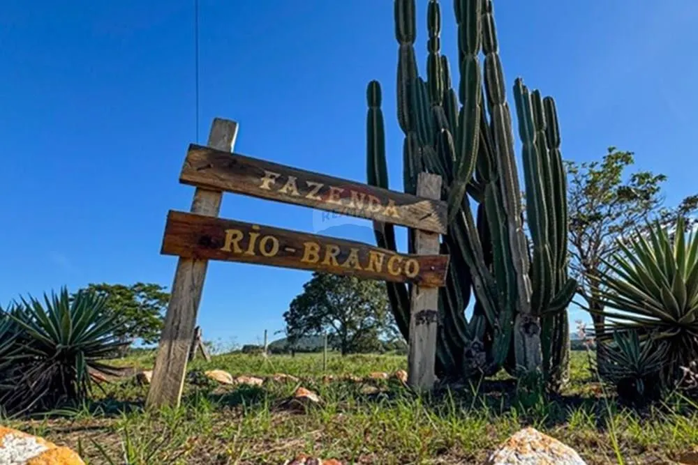 Fazenda à venda de 3.264 ha em Rifaina, SP, Brasil
