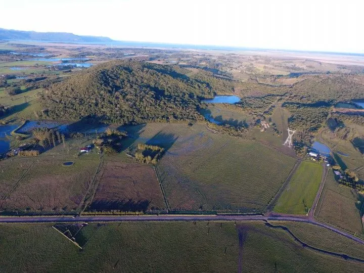 Sítio à venda de 20 ha em Santo Antônio da Patrulha, RS, Brasil